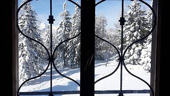 Chalet Pehta - Velika Planina