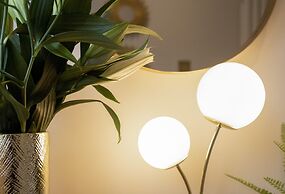 The Belfast Boutique Central Cozy