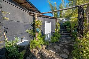 Bamboo Mount Batur and Hot Spring