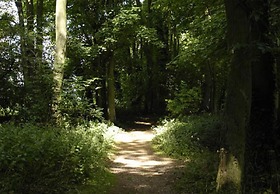 Lakes and Woodlands Overstone Holiday Park