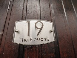 19 Cherry Park