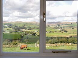 Bryn Dedwydd Cottage