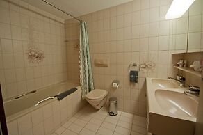 Apartment Alpina