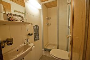 Apartment Alpina