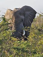 Leopard Corner Lodge