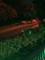 Leopard Corner Lodge
