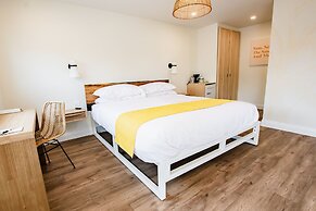 The Kiwi Motel