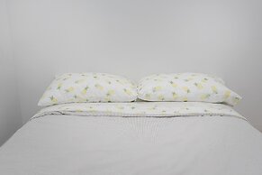 5223 St-Urbain