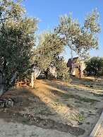Bıngıdı Bungalov