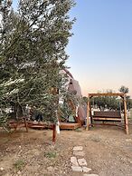Bıngıdı Bungalov