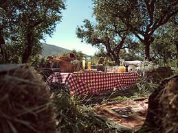 Leeda's Cottages