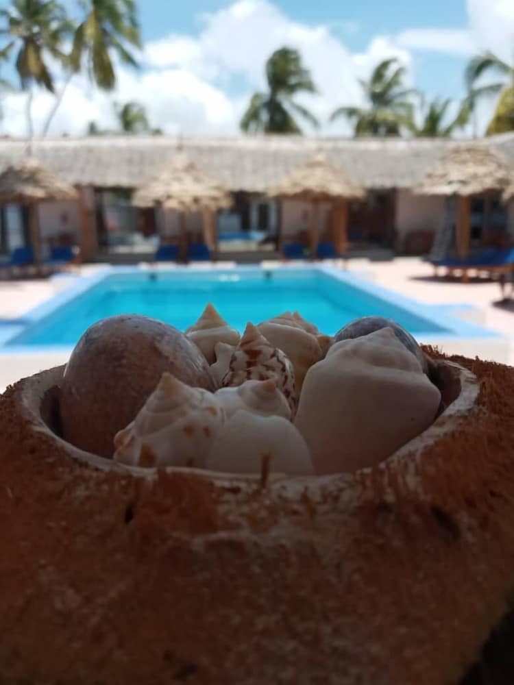 Amani Paje B&B