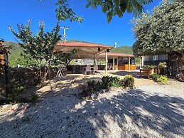 OLIVE TREE APART HOTEL
