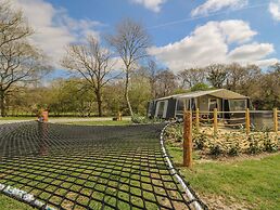 The Salmon