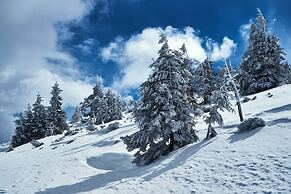 Cihlarka Mountain View Apartment