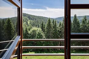 Cihlarka Mountain View Apartment