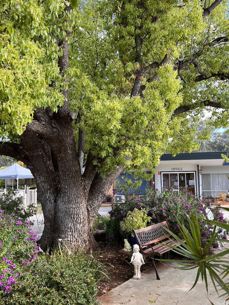 Sturt Motel