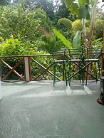 Berkey's Jungle Paradise