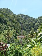 Berkey's Jungle Paradise