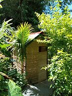 Berkey's Jungle Paradise