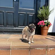 The Sandgate Hotel