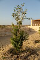 Wadi Sabarah Lodge