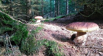 Kräuterbaude