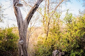 Shimungwe lodge