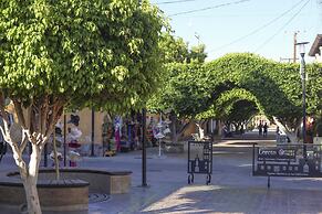 Loreto host