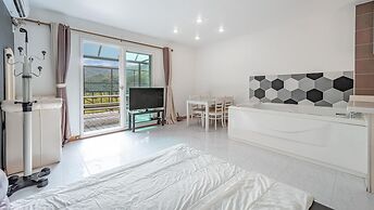 Gapyeong Topclouds Pet&spa Pension