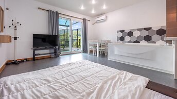Gapyeong Topclouds Pet&spa Pension