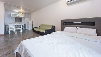Gapyeong Topclouds Pet&spa Pension