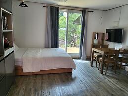 Gapyeong Topclouds Pet&spa Pension