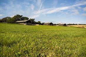 Worms Head Glamping Tent - Llangennith