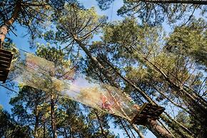 Les Pins Sylvestres