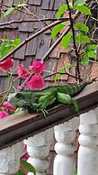 Greenheart Boutique Hotel