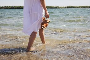 Wander the Resort
