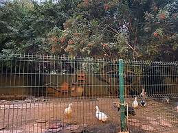 Rancho San Carlos Aguas Termales