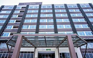 Ion Hotel