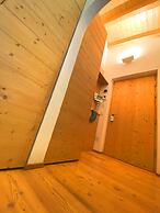 Apartment on the ski Slopes at Plan de Corones