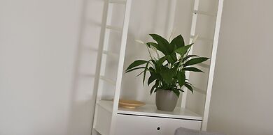 White Swan Boutique Apartments