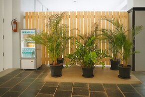 White Fern Stays