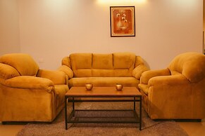 White Fern Stays
