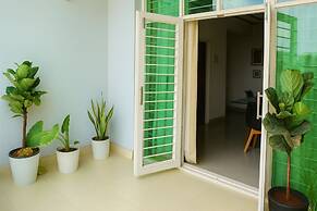 White Fern Stays