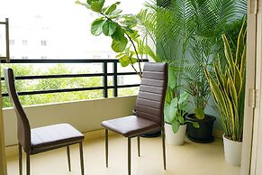 White Fern Stays