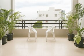 White Fern Stays