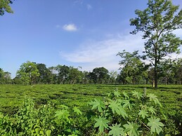 Homocation Manas Green Homestay
