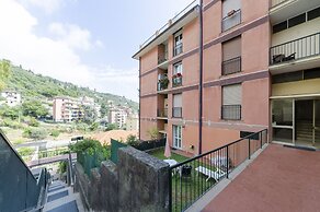 JOIVY Levante 289