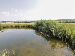 15 Faraway Fields