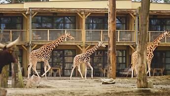 Safari Hotel Beekse Bergen